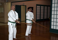 Iaido